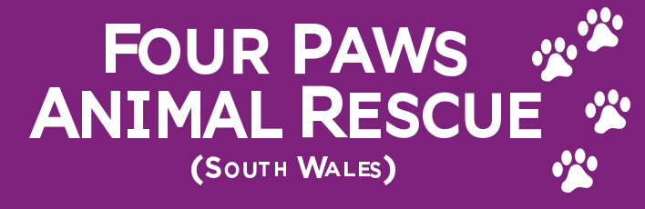 Four Paws Animal Rescue