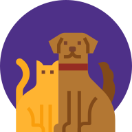 Image of a cat and dog