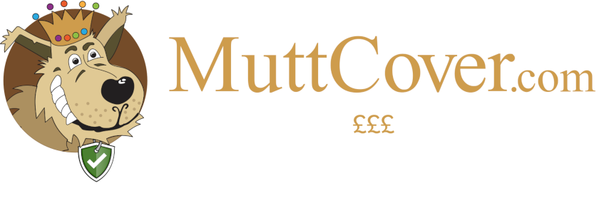 MuttCover.com